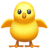 :hatched_chick: