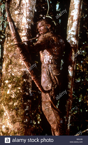 predator-ano-1987-ee-uu-arnold-schwarzenegger-director-john-mctiernan-b83j99