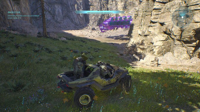 1000249906