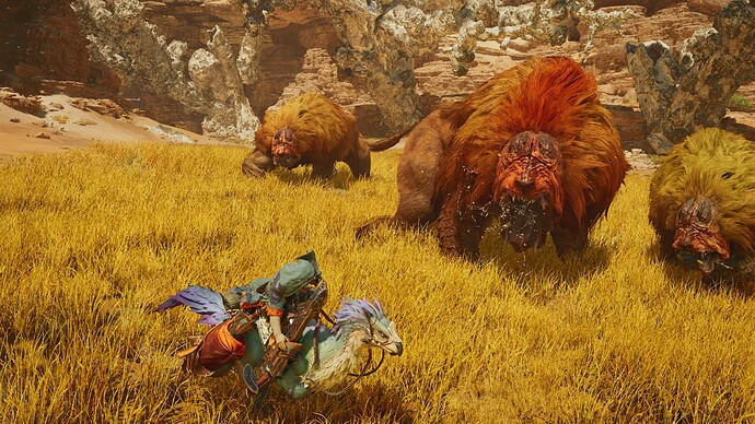 Monster-Hunter-Wilds_2024_05-30-24_004