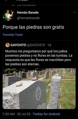 17315422377842138119688278843769