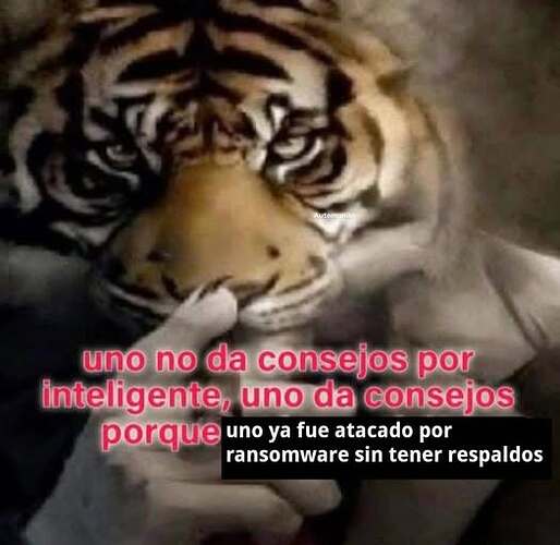 578281130_1476309247830500_4669013606445000659_n