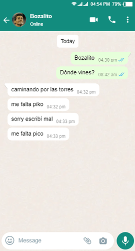 whatsapp_chat (1)