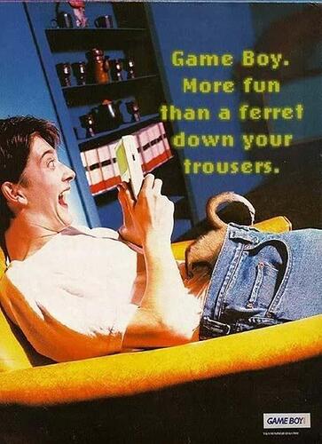 game-boy-ferret-ad