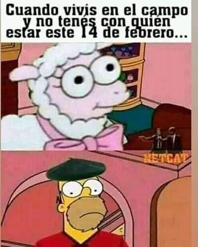 FB_IMG_1676398571553