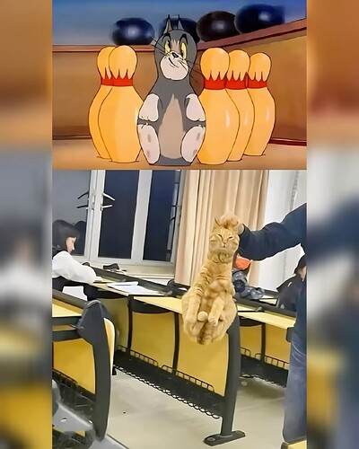 tumblr_d829693726672f75cb5b35ef1986624c_21ac53ee_1280