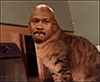 :michaelgato: :michaelgato: