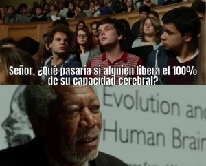 1000044240