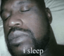 400291