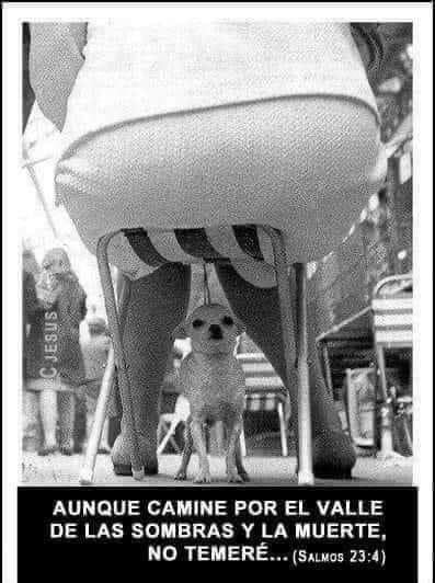 FB_IMG_1670329809111