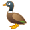 Pato-internacional